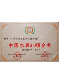 中国水表30强企业