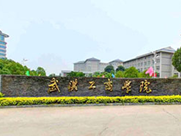 武汉工商学院